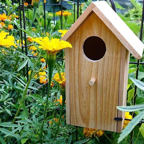 small bird nesting boxes